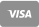 ícone pagamento via cartão visa